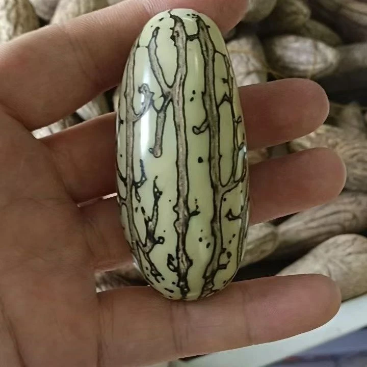 原果千眼菩提果，配绳子发货手把件！长绳或钥匙坠需备注！