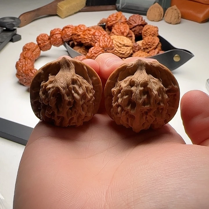 37-35-36一代天地S31号