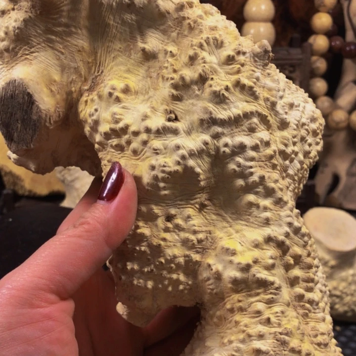 Z***6木料木和木料木料