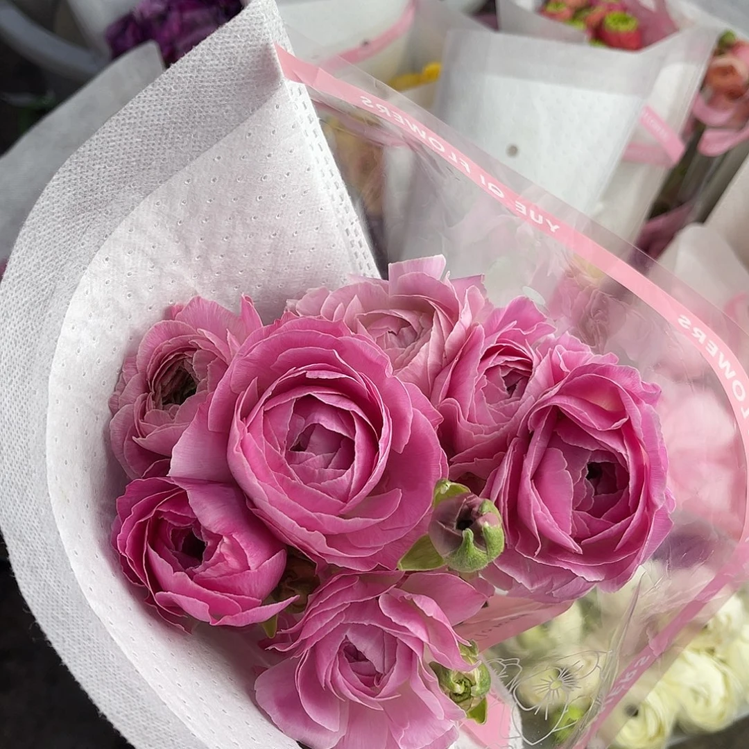 完全开放月琪（麦浪）8-10枝