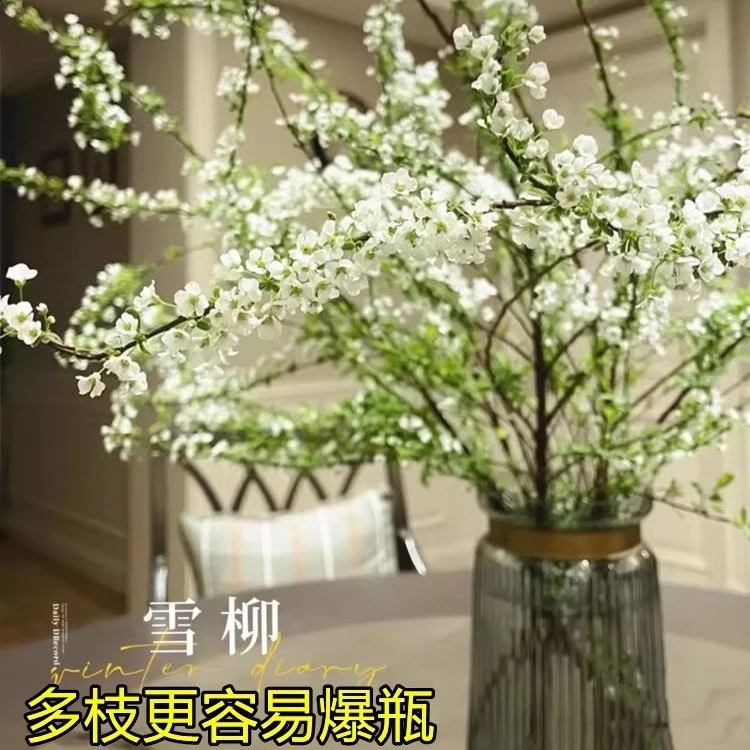 重瓣雪柳干枝支鲜枝水养插花水培植物鲜花卉室内盆栽绿植雪柳批发