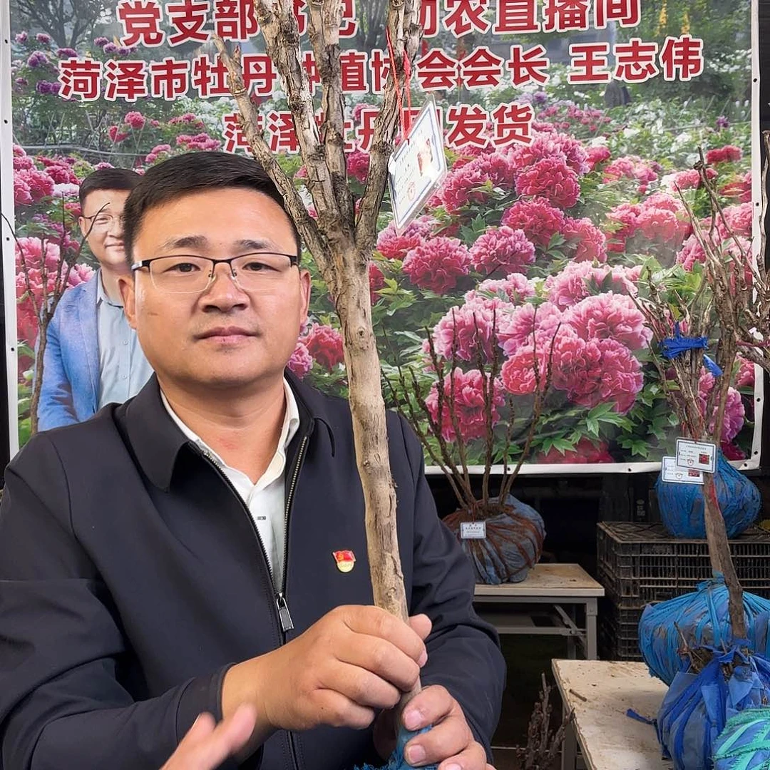 卫***荣完全开放岛锦345件