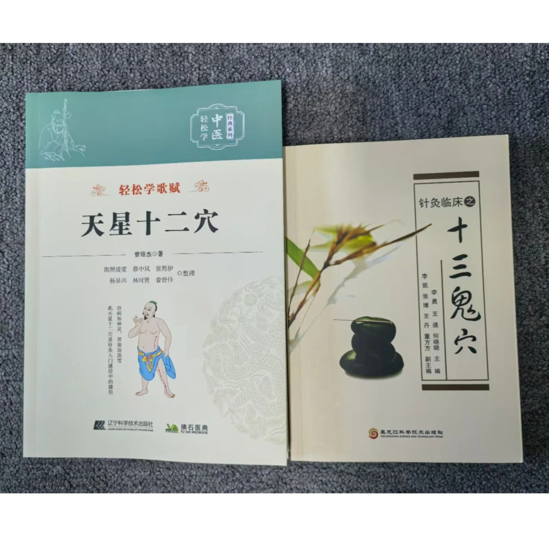 ZM2本 新版 天星十二穴 针灸临床之十三鬼穴