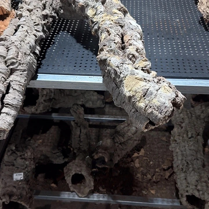 舟***森完全开放一物一拍一物一发