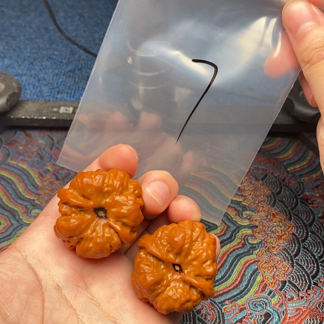 核桃哈哈哈哈哈哈哈哈哈哈哈哈，