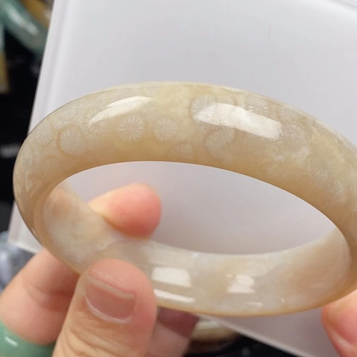 未镶嵌手镯(圆镯)硅化玉60.8