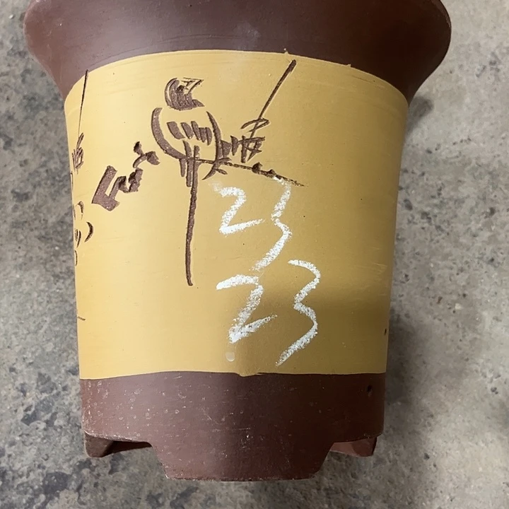 紫砂工艺厂……紫砂工艺厂……