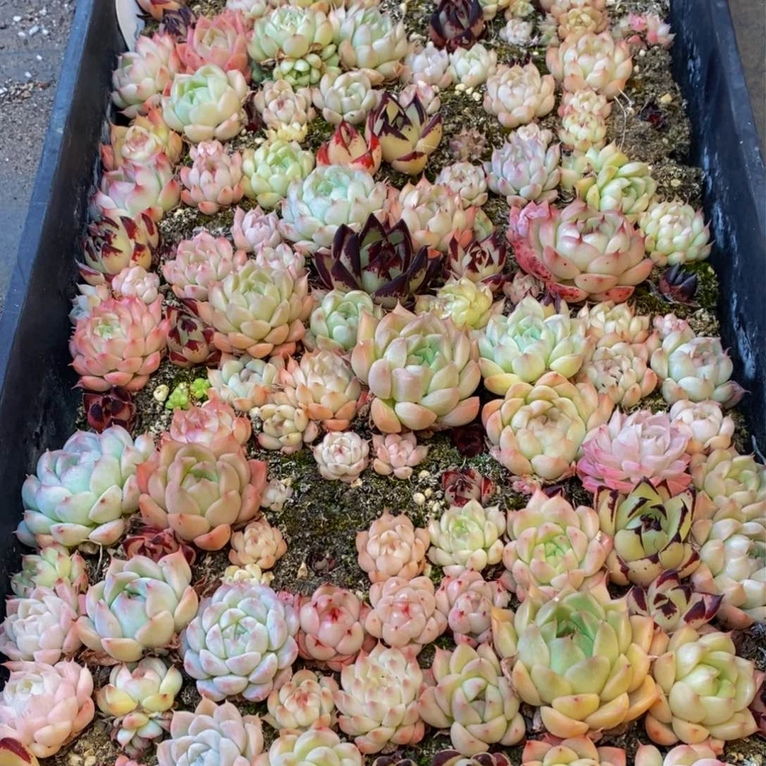 310的人在一起的时候