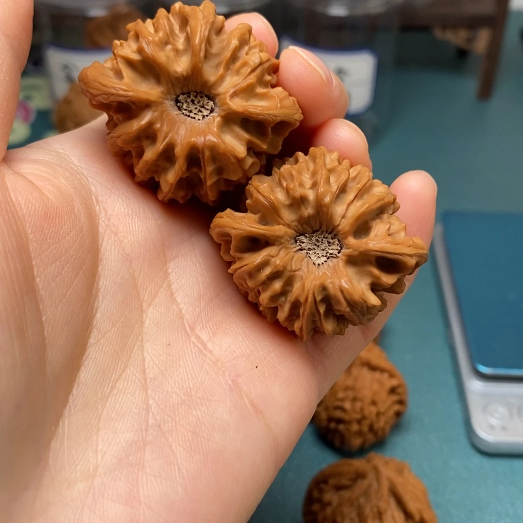 核桃40尺龙门涧修