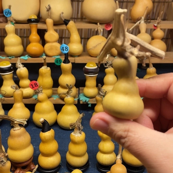 ****浅1111111111111111111111