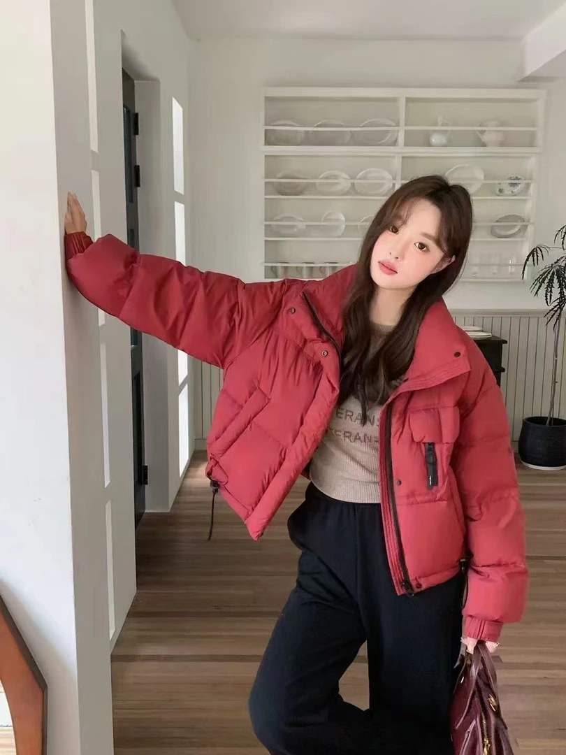 宽松网红棉服派克服加厚百搭立领韩版冬季短款休闲潮流女女款