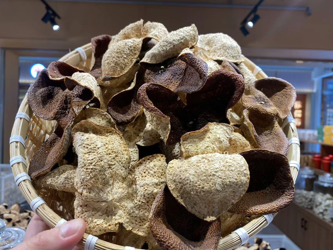 【自家果园·果王】2021圈枝超老树 新会东甲冬前大红皮 陈皮