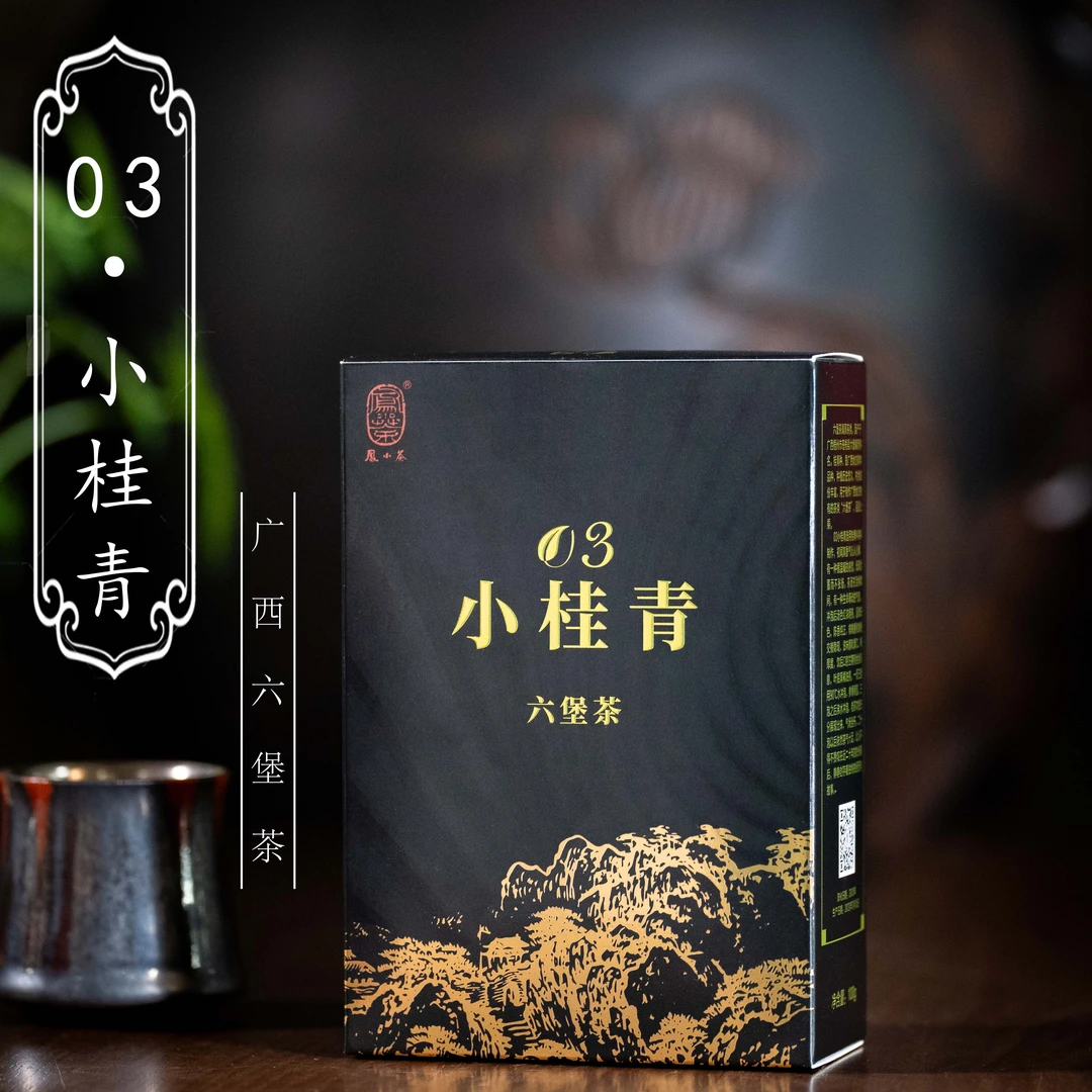 凤小茶广西黑茶六堡茶【03小桂青】桂青纯料轻发酵 宾榔香参香 100g