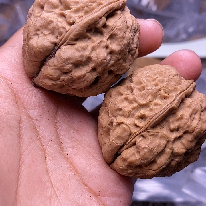 文玩核桃把件  100