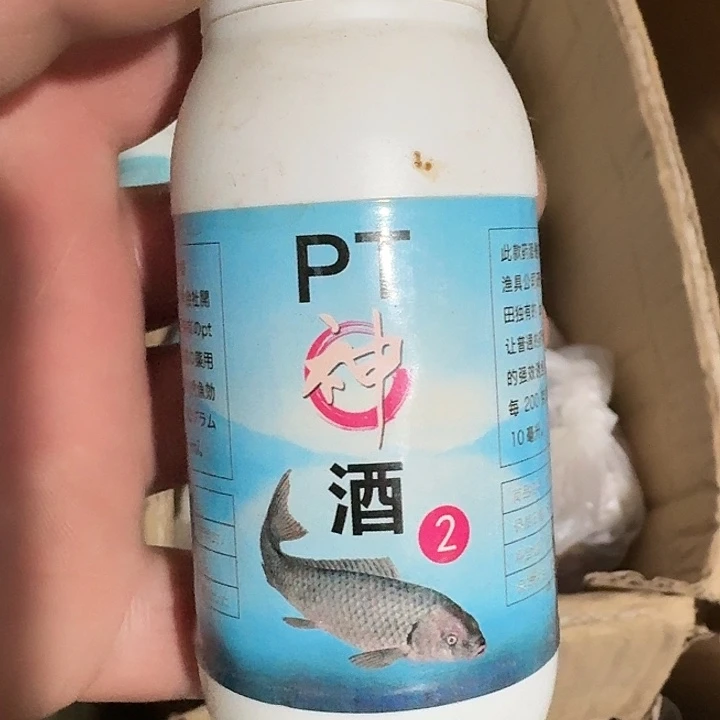 东田PT神酒一单一个