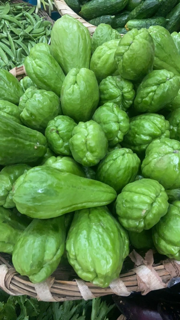 云南高山本地老品种佛手瓜