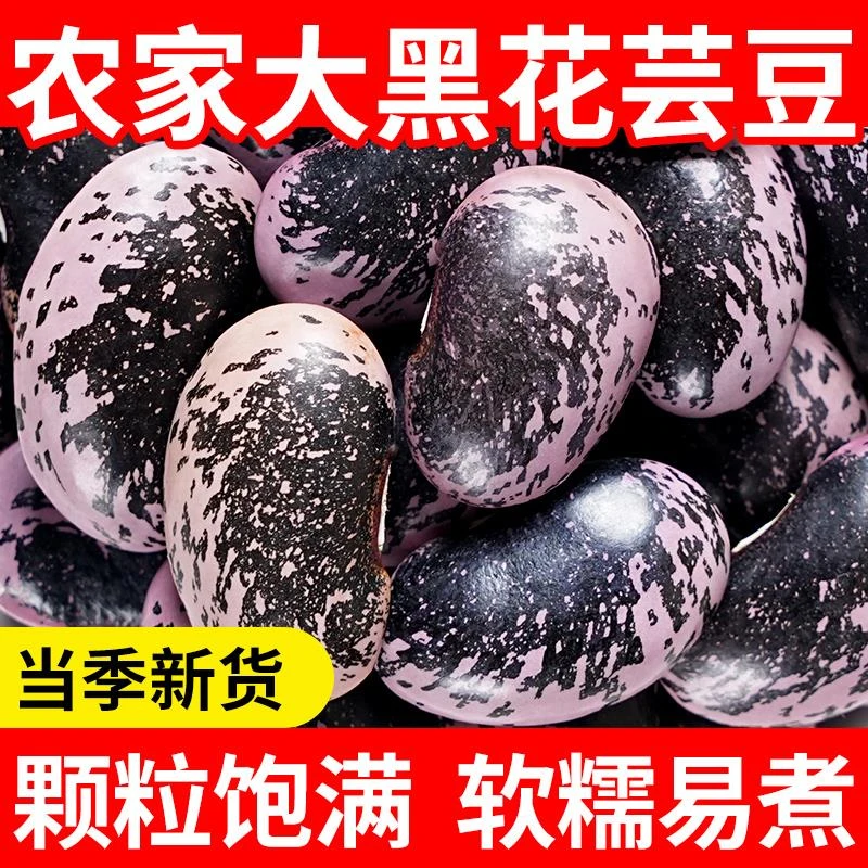 大黑花芸豆新货5斤农家大肾豆花腰豆五谷杂粮杂粮豆类豆子黑芸豆