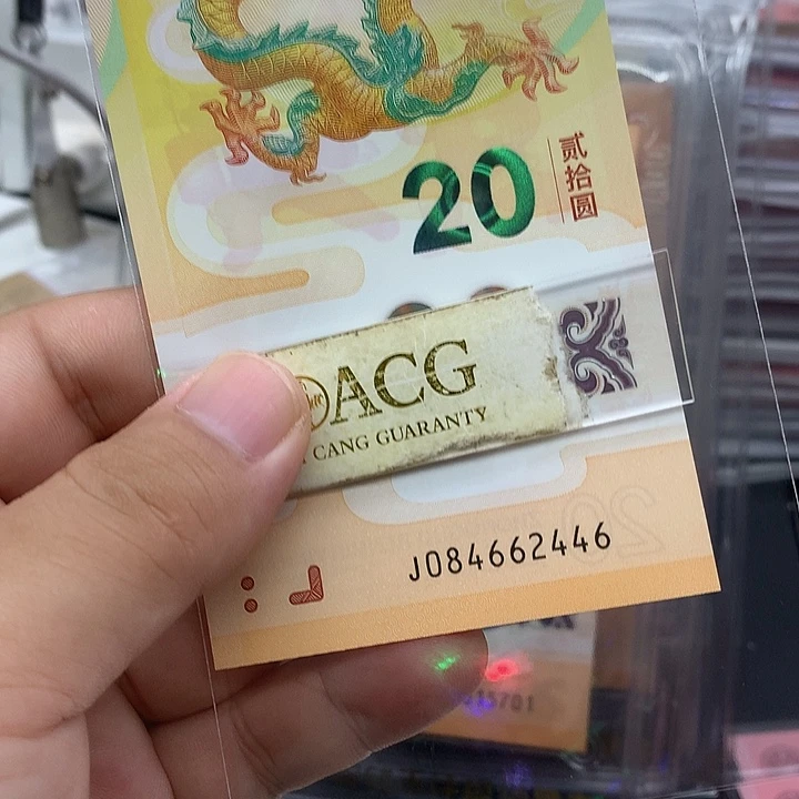 塑料龙钞全偶一张绝品