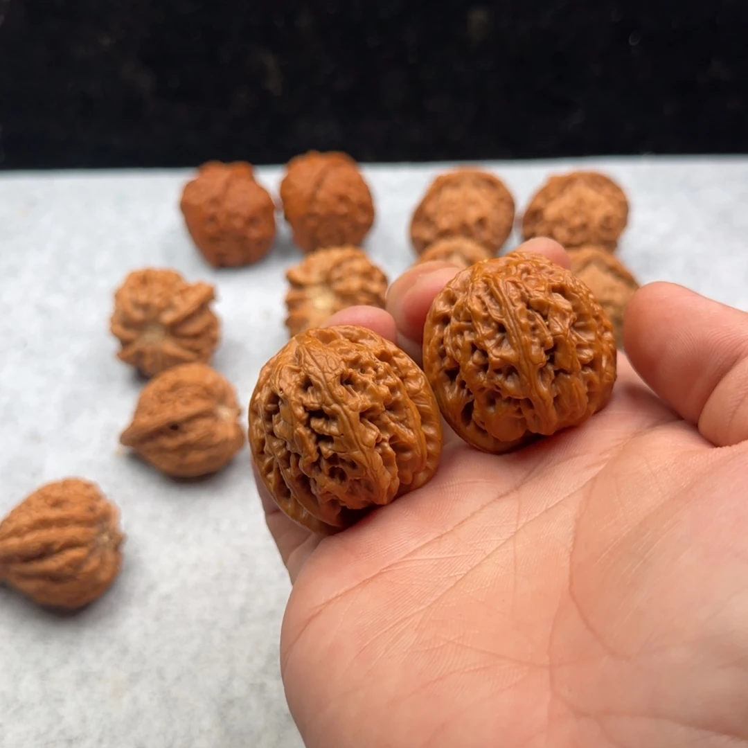 不***人哈哈哈哈哈哈哈哈哈哈哈