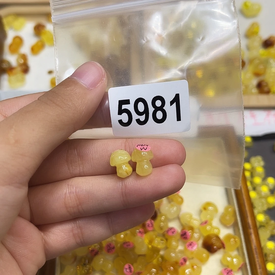琥珀未镶嵌珠宝奇石