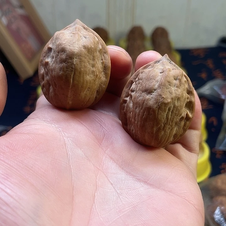 文玩核桃把件29马头琴37