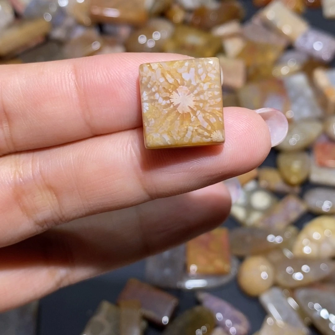 【闪购商品】未镶嵌珊瑚玉硅化玉