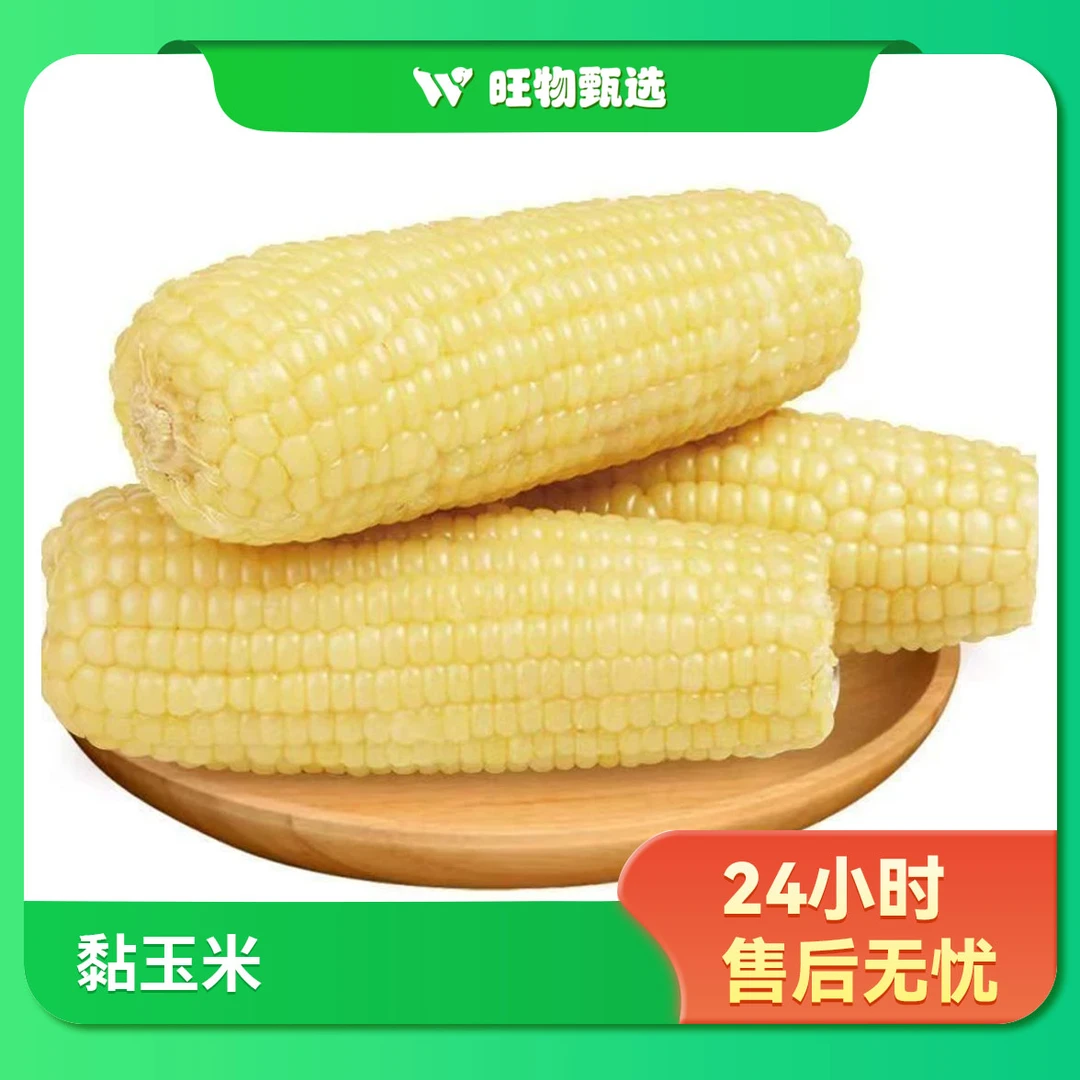 【旺物甄选】黏玉米6根装2000g左右白糯玉米河北省