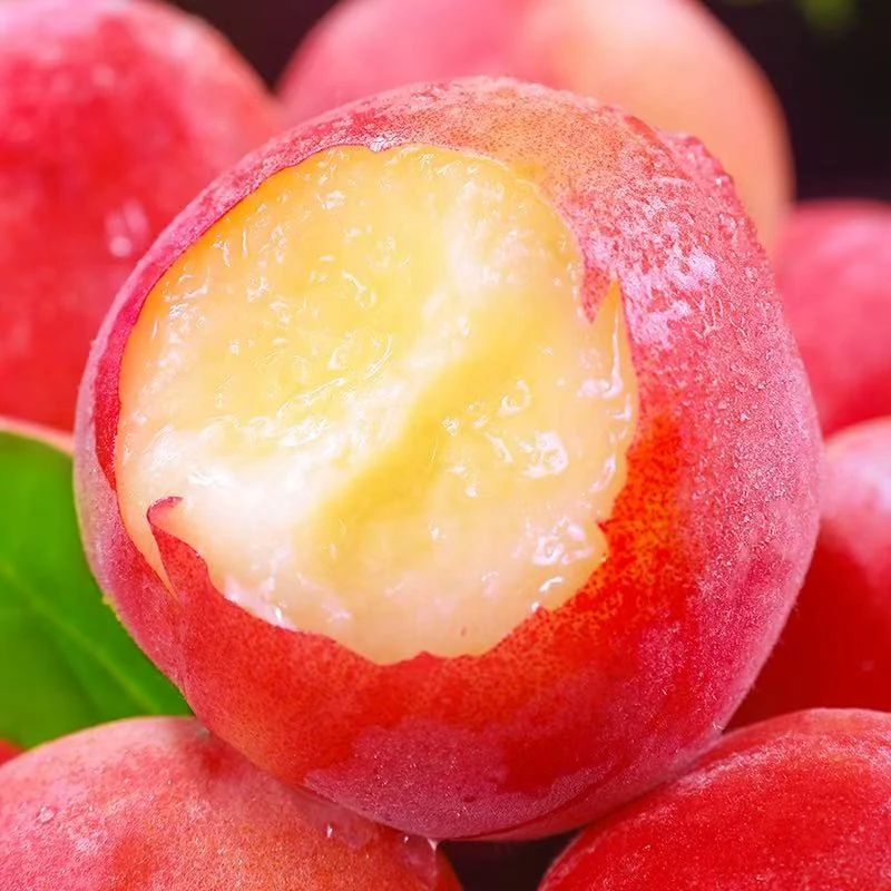 突围水蜜桃约2斤江苏省