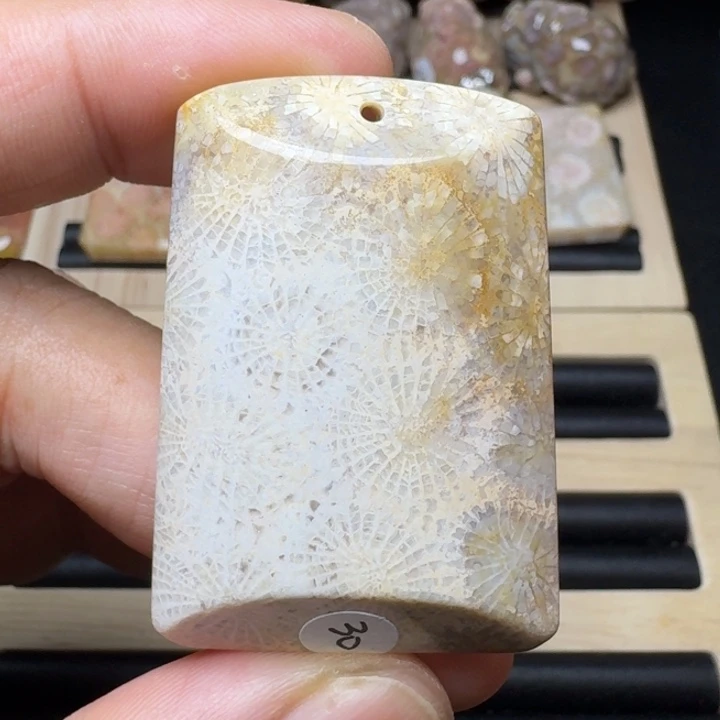 硅化珊瑚（珊瑚玉）未镶嵌纯天然色有机玉石保真色