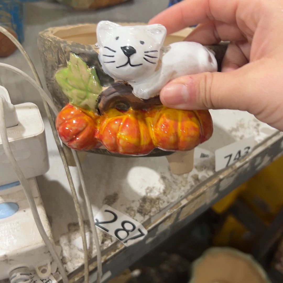 满20米秒退拉黑花盆