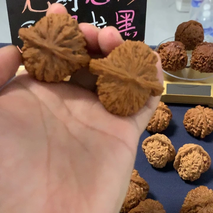 金***记录图图天默默在