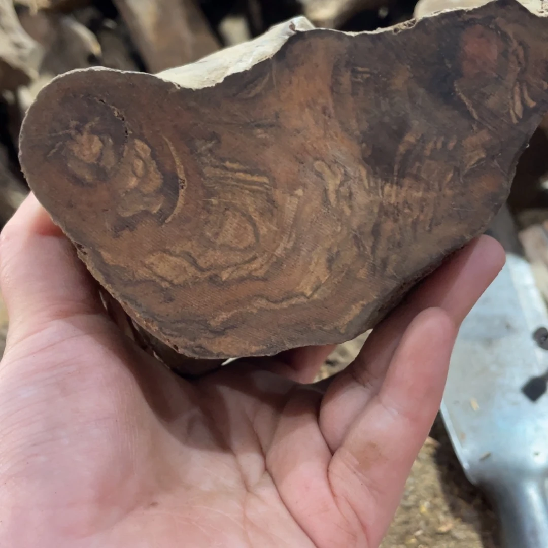 扇子玉**定贡木原木直发