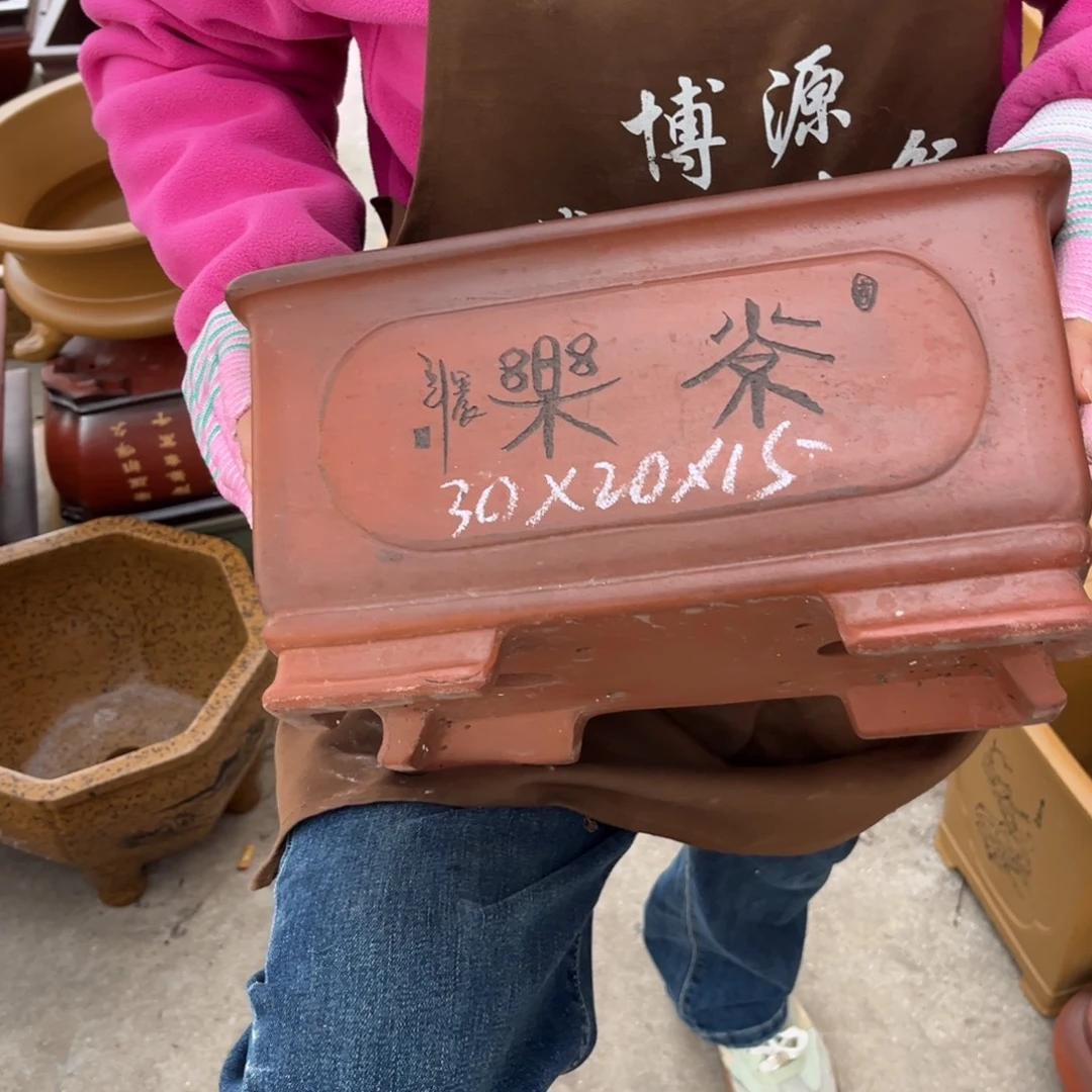 花盆紫砂盆景艺术