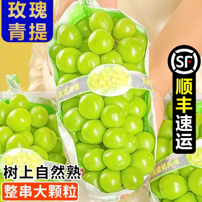 顺丰冷链西昌阳光玫瑰葡萄整串晴王无籽提子现摘香印青提子香葡萄