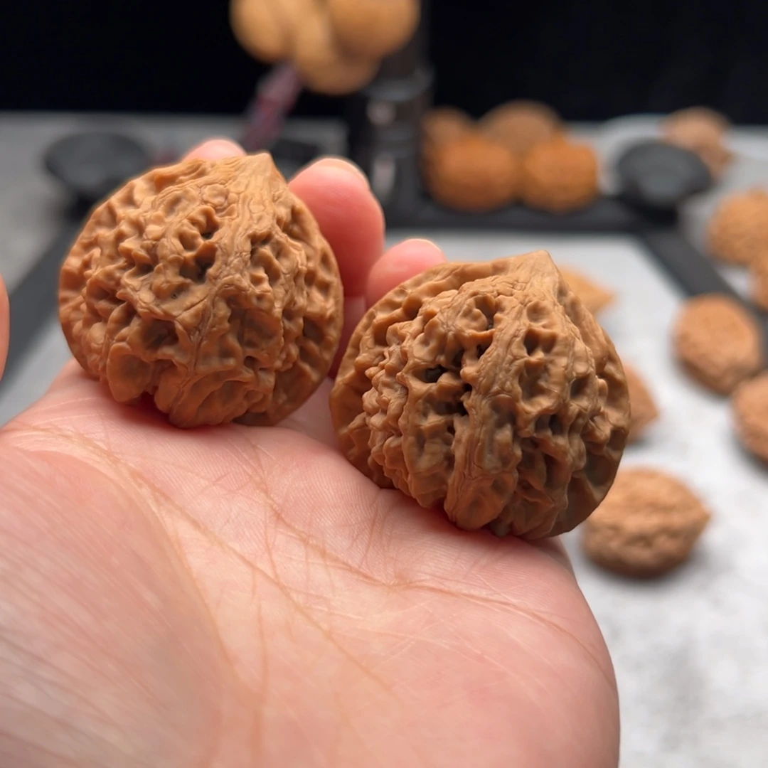 吊坠文玩核桃太行龙纹【4006】40.40.38