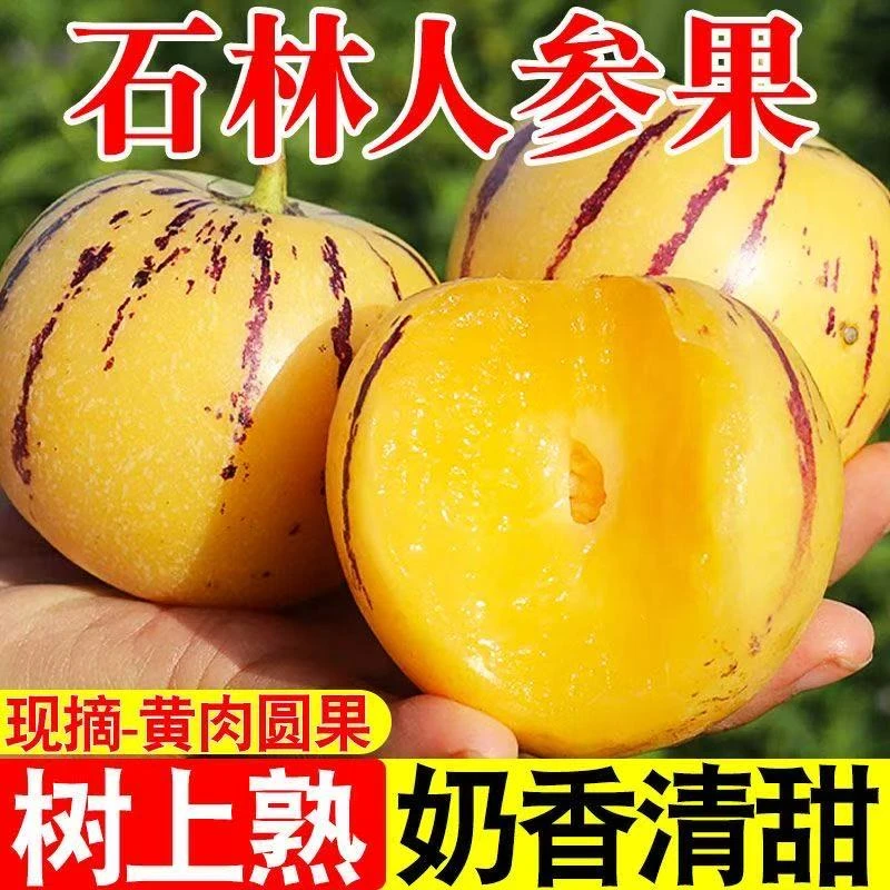 【大脸专属】云南石林树熟人参果黄肉圆果清甜新鲜应季水果顺丰