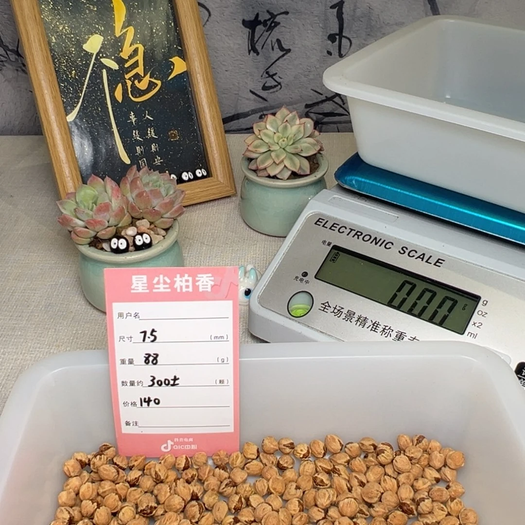 吊坠柏香籽/百香籽