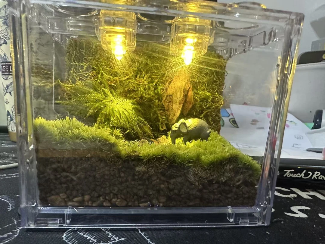精品造景系列治愈系桌面微景观