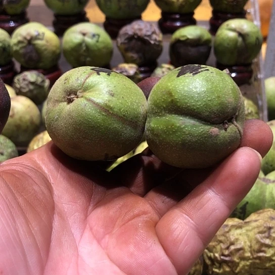 吊坠桃核核桃核桃