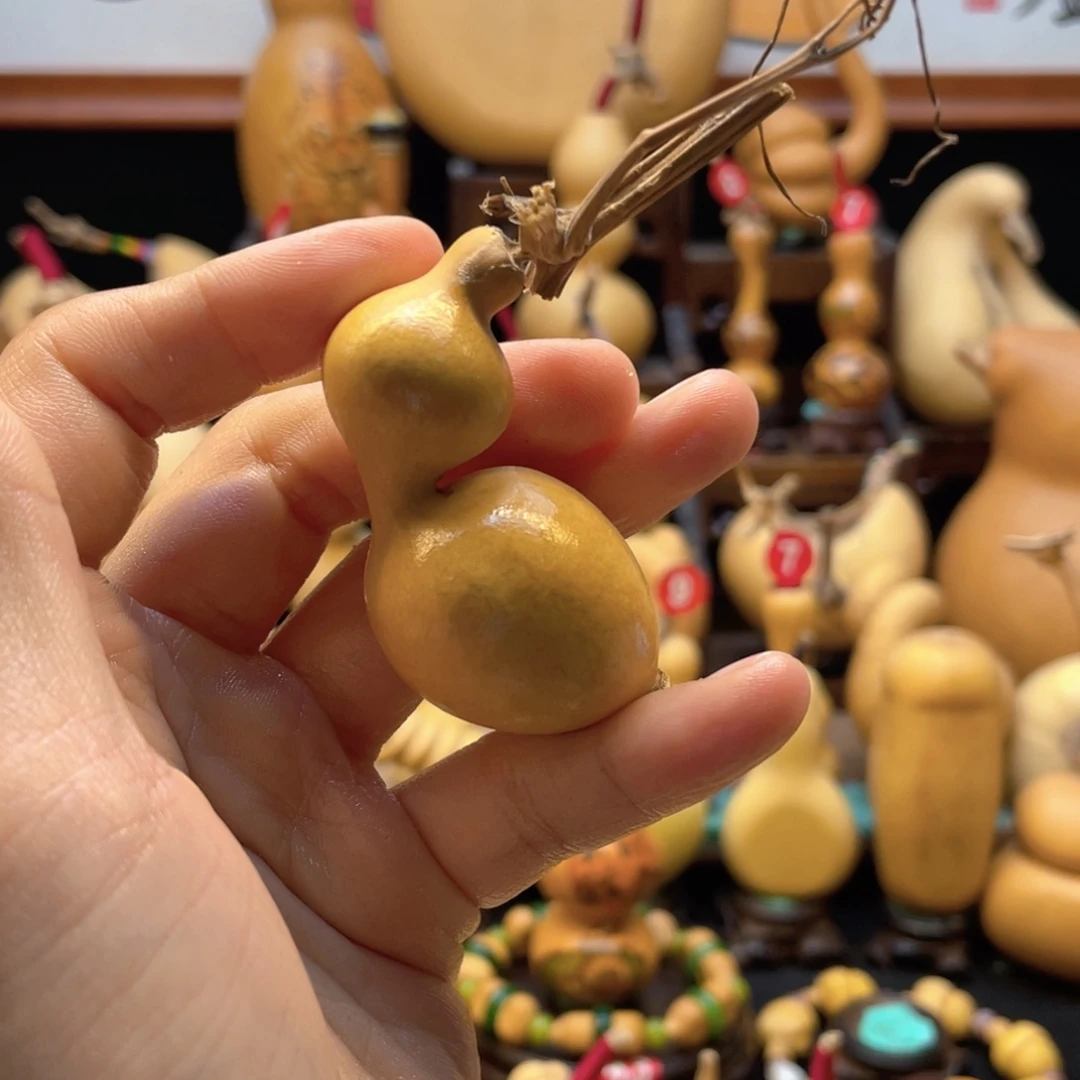 好**知大自然的秘密第十一节的