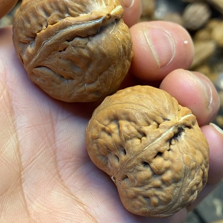桃核吊坠尖有点遐思2