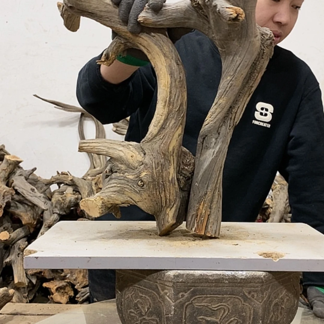 【闪购商品】柏木陆*航我们都是好孩子