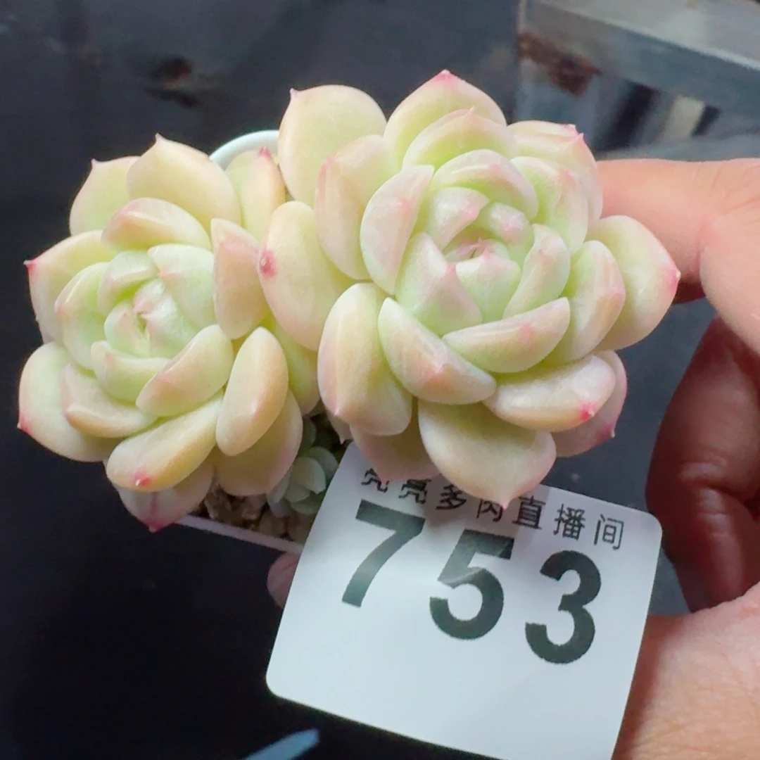 财富密码      愿你一路坦途，乘风破浪展宏图