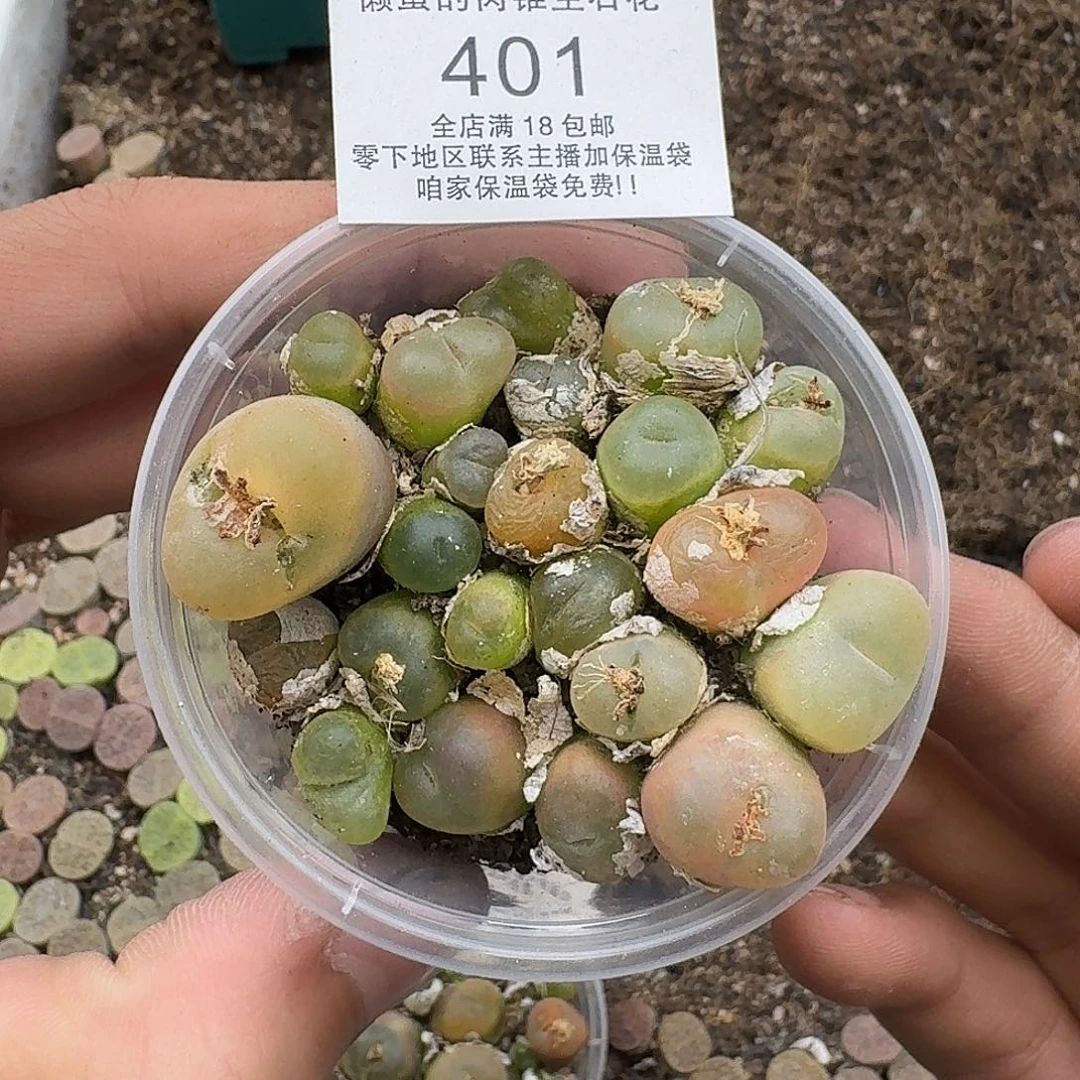 401满18包邮保温袋联系客服