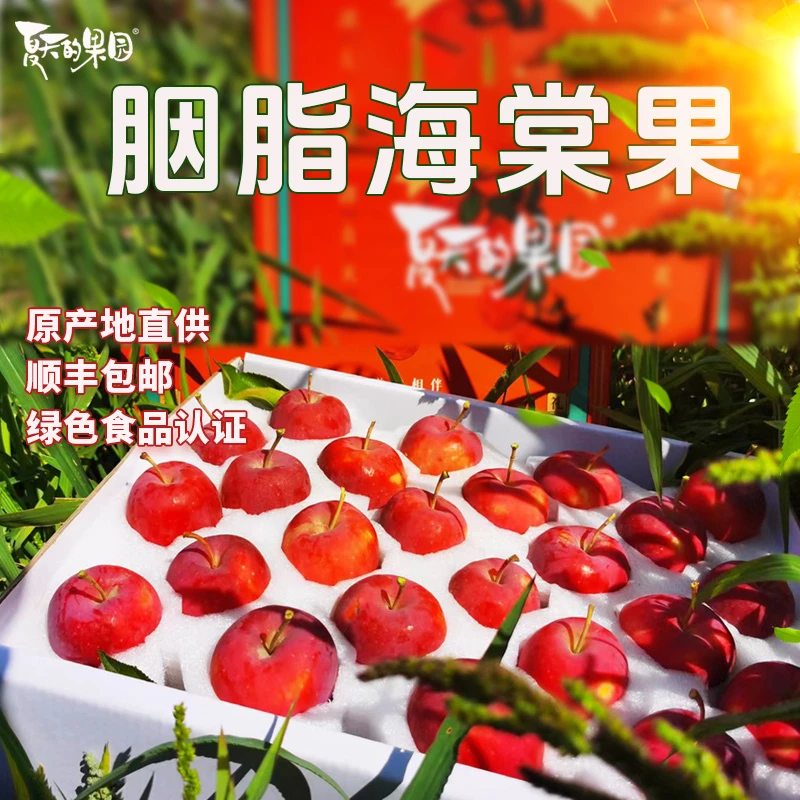 夏天的果园新疆胭脂海棠果绿色食品认证脆嫩酸甜 汁水丰盈礼盒装