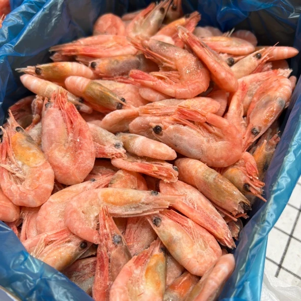 【打渔叔】70-90北极熊北极虾两盒