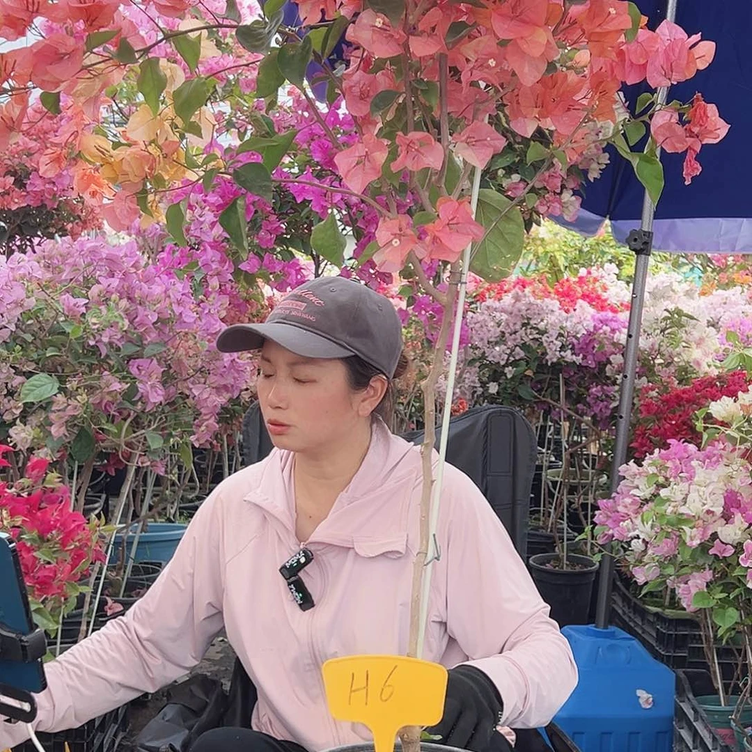 楊***涼大部分花苞少量开放H6阿达纳