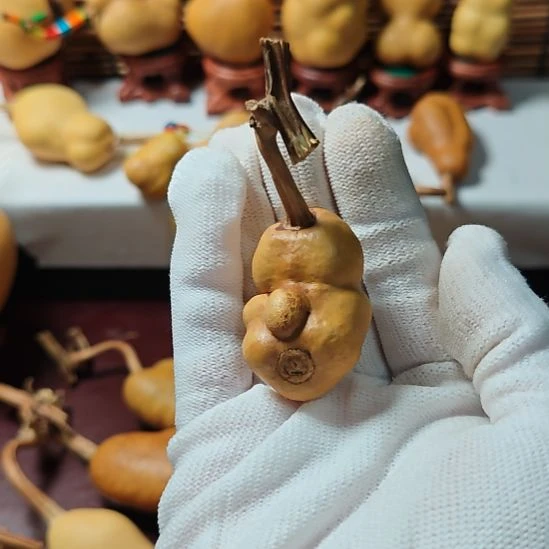 發***財精品土豆葫芦一物一拍