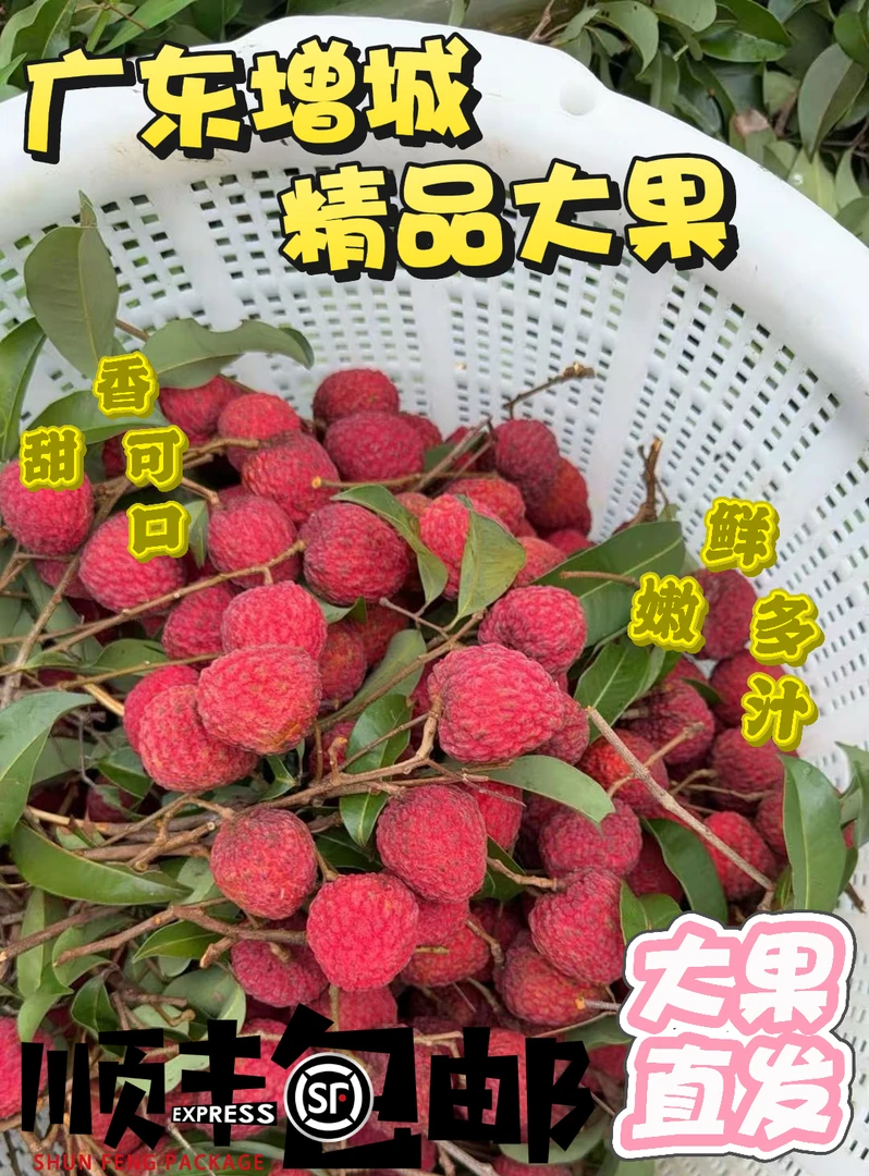 [顺丰]广东增城荔枝仙进奉3斤5斤10斤