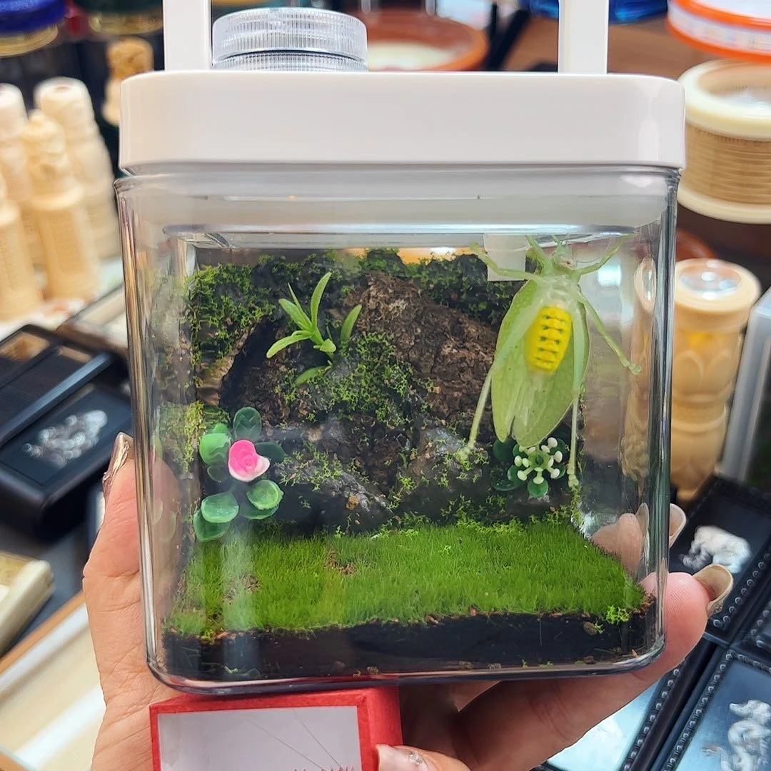 套餐哈哈哈哈哈哈哈哈